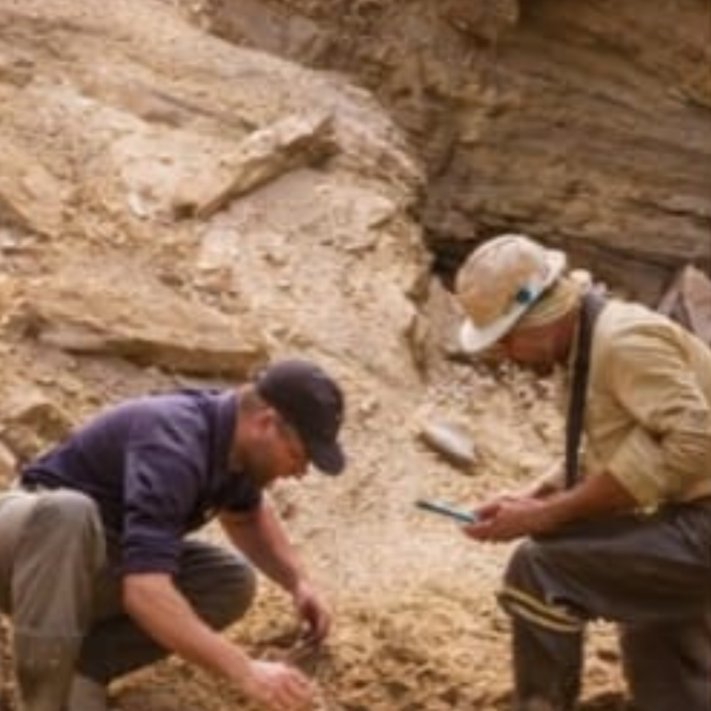 untitled design (33)